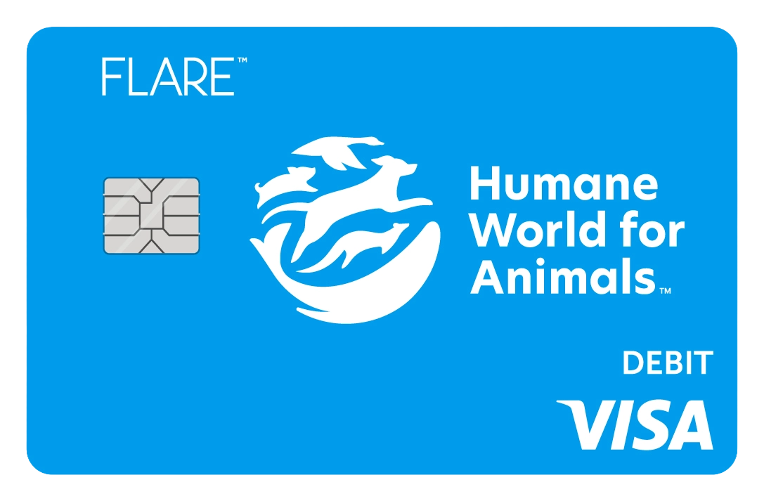 HWFA Flare Account debit card